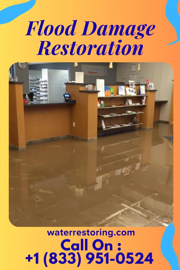 Flood Damage Restoration in Blue Berry Hill, TX